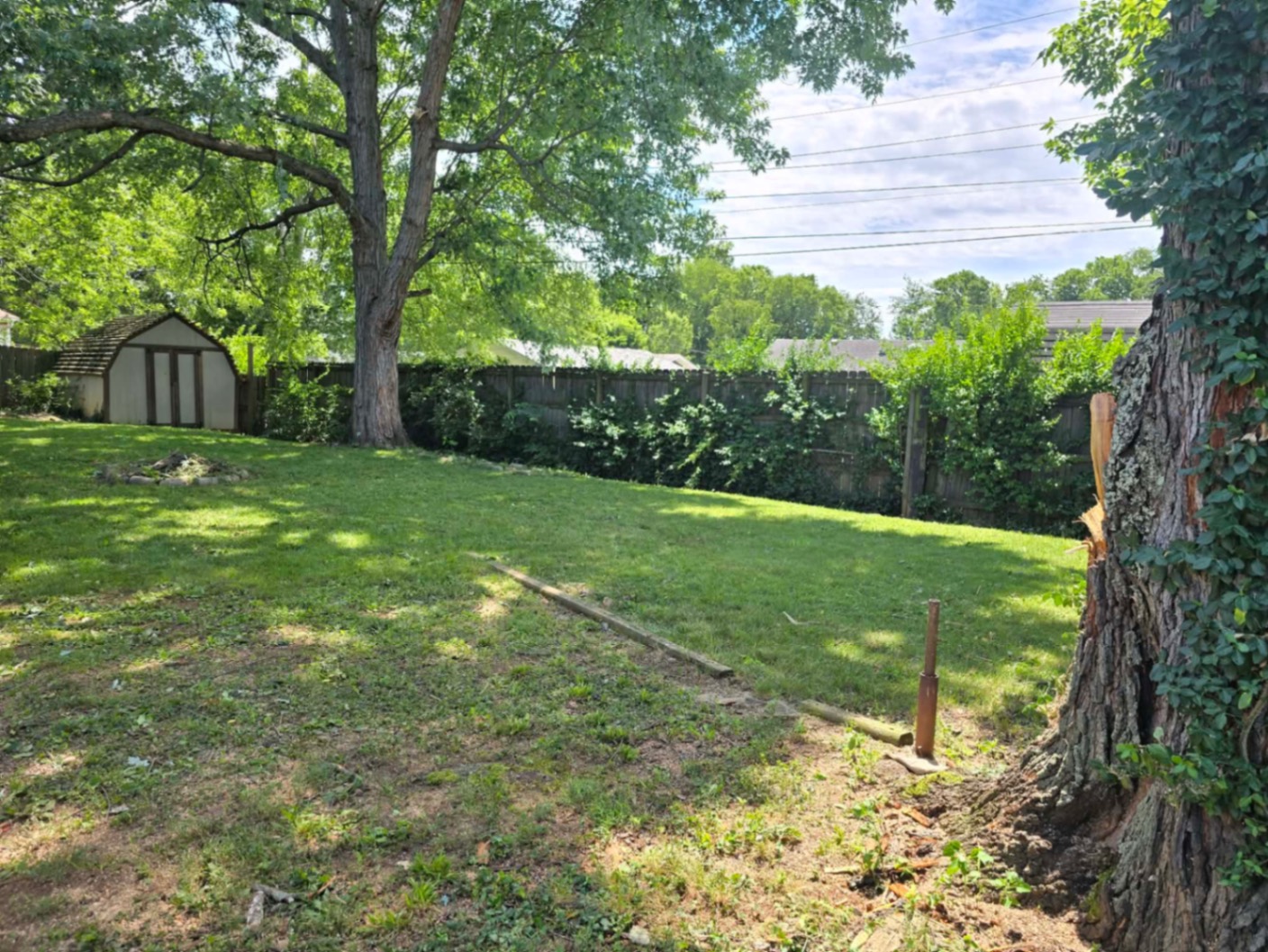 Same yard, cleared & cut back